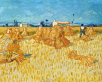 osoba, travnaté hřiště, Vincent van Gogh, sklizeň, sláma, seno, práce v terénu, hospodařit, pěstování, ekonomie pole, letní