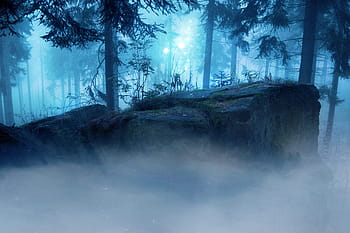 lanskap, fantasi, hutan, malam, kabut, misterius, surealis