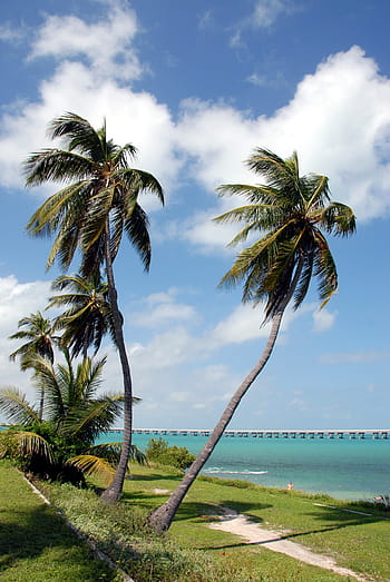 bahia honda eyalet parkı, Florida tuşları, yedi mil köprüsü, turizm, tatil, Key West, Florida, Su, okyanus, Amerika Birleşik Devletleri, deniz