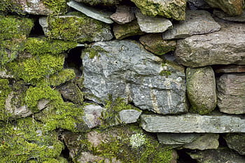 stone wall, moss, texture, rock, lichen, stone, structure, surface, natural, old, wall