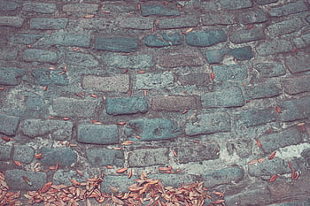 bricks, wall, leaves, dried, floor