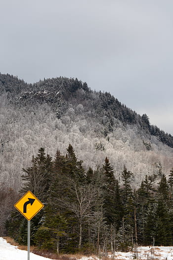 route, signe, les montagnes, hiver, Voyage, neige, des arbres, forêt, scénique, vue, directions