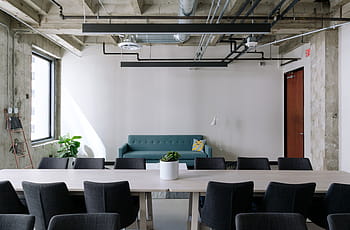 green, plant, blue, couch, white, room, office, table, chairs, window, glass