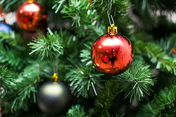 Kerstmis, boom, ornamenten, decoraties, feestelijk, vakantie