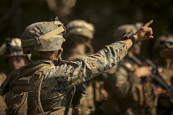 muž, nošení, šedá, Černá, maskovací oblek, námořní pěchoty, jednotný, camo, vojáků, usmc, námořní pěchota