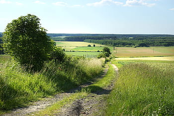 paesaggio, i campi, agricoltura, la coltivazione di, villaggio, cielo, campo, verde, prati, vista, villaggio poland