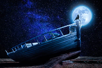 black, bird, top, brown, wooden, boat, full, moon illustration, moonlight, boot, old boat