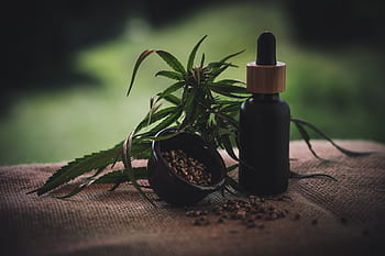 cbd öl, cbd olej, olej, cbd, superfood, kanabidiol, konopí, plevel, zdraví, hanf