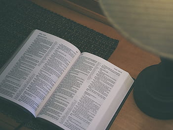 otevřeno, rezervovat, lavice, svatý, bible, čtení, náboženství, stůl, pokoj, místnost, uvnitř, vysoký úhel pohledu