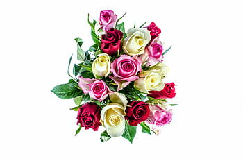 pink, white, red, rose, bouquet, green, leaf decoration, flower, flowers, love, valentine' day