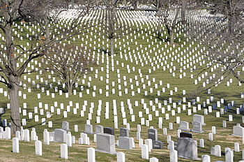 cementery with trees, Arlington, Cemetery, Usa, Washington Dc, arlington, cemetery, grave stones, military cemetery, world war, tombstone, in a row