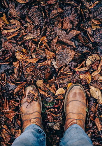 person, standing, dried, leaves, brown, leather, shoes, shoe, footwear, travel, jeans
