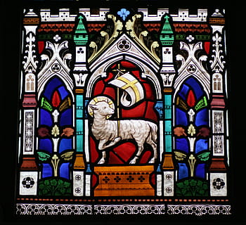 ovce, vlajka tapety, vitráž, st michael's sittingbourne, kostel sv, kostel, posezení, kent, okno, světlo, vitráže