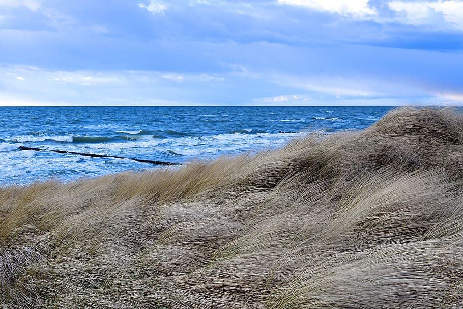 nature, sea, coast, waters, beach, sky, wave, landscape, baltic sea, fischland, dierhagen