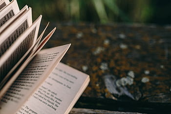 verão, descansando, livro, relaxante, tempo, livro de leitura, noite, hora mágica, livro aberto, Leitura, lago