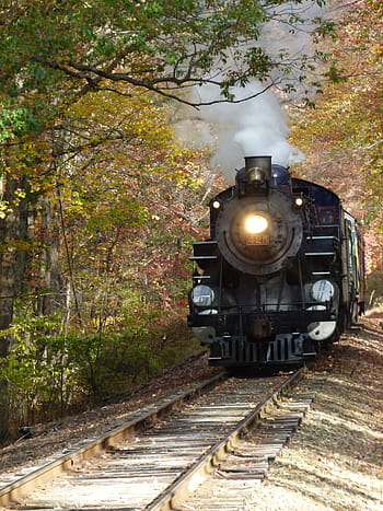 Steam Train, Locomotive, train, steam, engine, railroad, vintage, black, history, old, antique