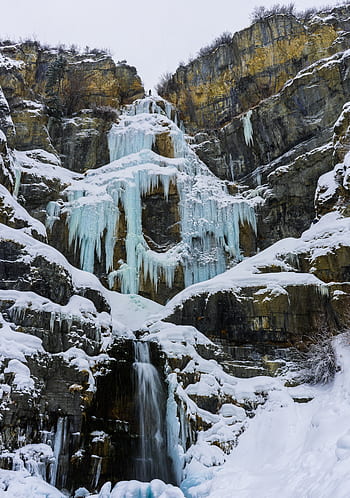 snow, winter, white, cold, weather, ice, trees, plants, nature
