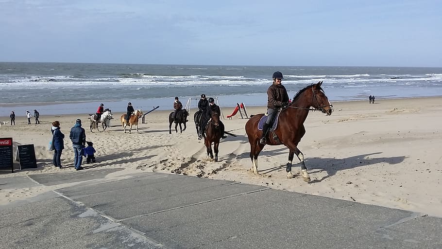 zeeland, oostkapelle, sea, beach, sand, water