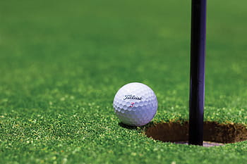 ゴルフボール、 穴、 休暇、 カップ、 フィールド、 草、 スポーツ、 地面、 ボール、 グリーン、 クラブ