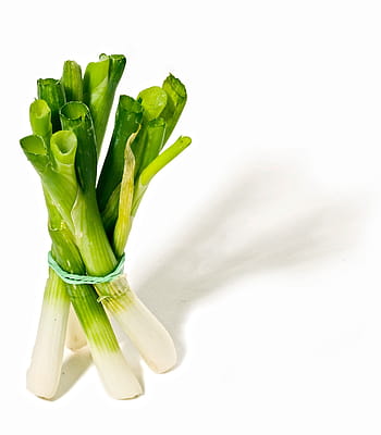 perdite di cipolla, bianca, superficie, giardino delle erbe, erbe culinarie, erba da cucina, erbe aromatiche, erba medicinale, Erbe medicinali, erba, spezie