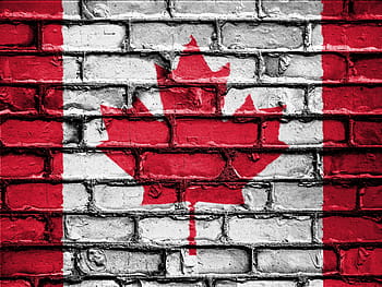 toronto kanada vlajka, vlajka, prapor, národ, symbol, země, národní, vlastenecký, vlastenec, patriotismus, zeď