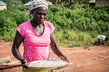 gbagyi woman, farmer, abuja, nigeria, maize, rural community