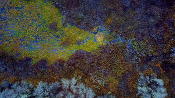 aereo, terra, colorato, acqua, natura, all'aperto, sopra, zone umide, naturale, modello, astratto