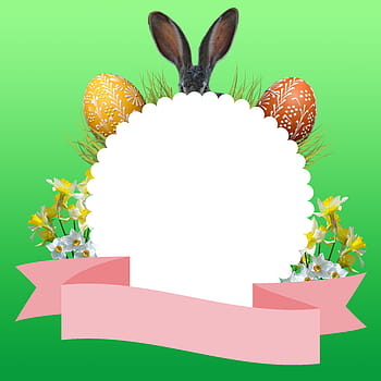 easter, graphic, spring, easter bunny, easter eggs, happy easter, easter greeting, text box, loop, band, pink