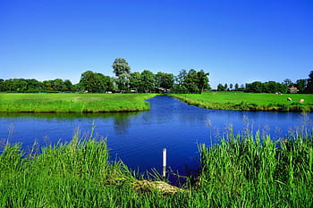 물, 수로, 들, 잔디, 한 지방, 시골의, polder, 파란 하늘, 푸른 물, 녹색, 여름