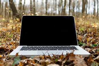 laptop, apple, keyboard, technology, mac, application, software, hardware, leaves, autumn, fall