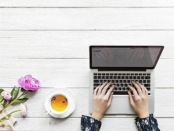 person typing, silver laptop computer, e-mail, aerial, afternoon tea, background, beverage, blog, blogger, break, browsing