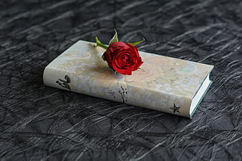 brown, hardbind book, red, rose, top, persian poems, hafez, persian poet, mystic, poem book, persian font