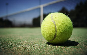 green tennis ball, macro, court, yellow, net, sport, game, leisure, recreation, play, close