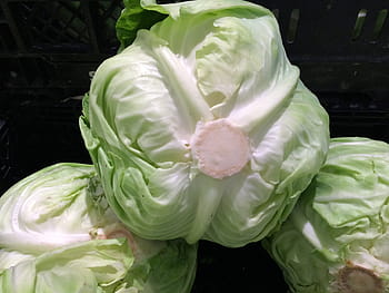 cabbage, vegetables, seiyu ltd, living, supermarket, fruits and vegetables, department, heisei-cho, yokosuka, japan