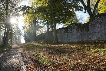autumn, hike, tuttlingen, honing mountain, honing castle, germany, europe, travel, holiday, november, nature
