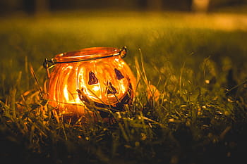 tempat lilin halloween, rumput malam, Halloween, Tempat Lilin, Malam, Rumput, lilin, tanah, selamat halloween, labu, api - Fenomena Alam