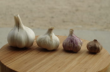 garlic, garlic elephant, garlic white, purple garlic, black garlic, garlic grown, bulb, wallpaper, head of garlic, food, novelty