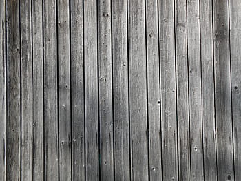šedý dřevěný plot, dřevěné stěny, desek, dřevo, zeď, nástěnné desky, textura, zvětralý, obilí, Pozadí, hauswand