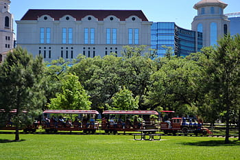 Houston, texas, herman národní park, vlak, stromy, tráva, pastvina, pole, hraní, děti, lékařský