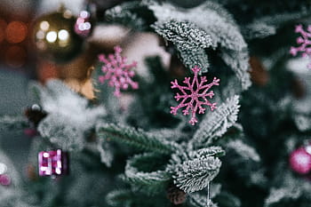 クリスマスツリーの装飾、 クリスマスツリー、 装飾、 ツリー、 クリスマス、 クリスマスボール、 ボール、 冬、 雪、 クリスマスの飾り、 お祝い