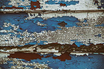 close-up details, old, wooden, panels, captured, Close-up, details, wooden panels, Dungeness, Kent, England