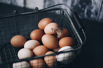 canasta de alambre de metal, huevos, alambre de metal, canasta, metal, alambre, comida, huevo animal, frescura, granja, orgánico