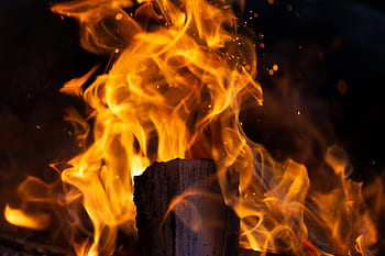 campo, fuoco, scintille, legna, natura, caldo, fiamme, arancia, giallo, notte, all'aperto