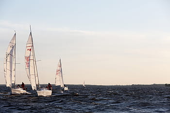 several, white, sailboats, ocean, three, clear, sky, sea, water, horizon, nature