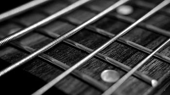gråtonebillede, guitar strings, snor, bas, guitar, musik, klippe, lyd, instrument, bånd, udstyr