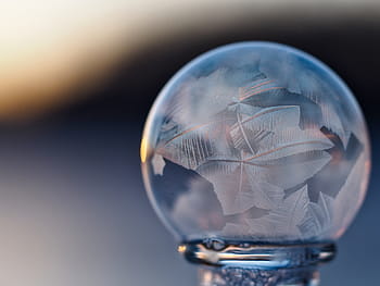 selective, clear, leaf water globe, bokeh, glass, round, crystal, ball, blur, studio shot, colored background