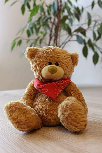 teddy, Medvídek, medvěd, hračky, vycpané zvíře, roztomilý, sladký, plyš