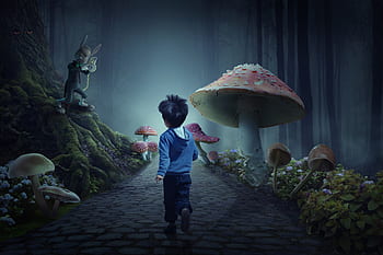 fairy tale forest, wonderland, dream, forest, fantasy, magic, mystical, composing, fairytale, surreal, mushrooms