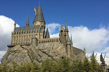 šedá, hrad, obklopen, zelená, listoval, strom, během dne, Bradavice, hrad, harry potter, osaka, Bradavice