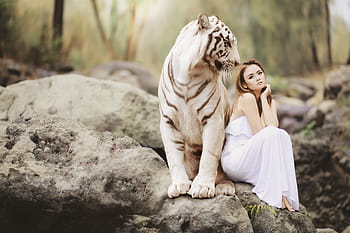การถ่ายภาพ, หญิง, ขาว, แต่งตัว, ข้าง, สีเทา, เสือ, ธรรมชาติ, สัตว์โลก, เสือเบงกอลสีขาว, เพศชาย